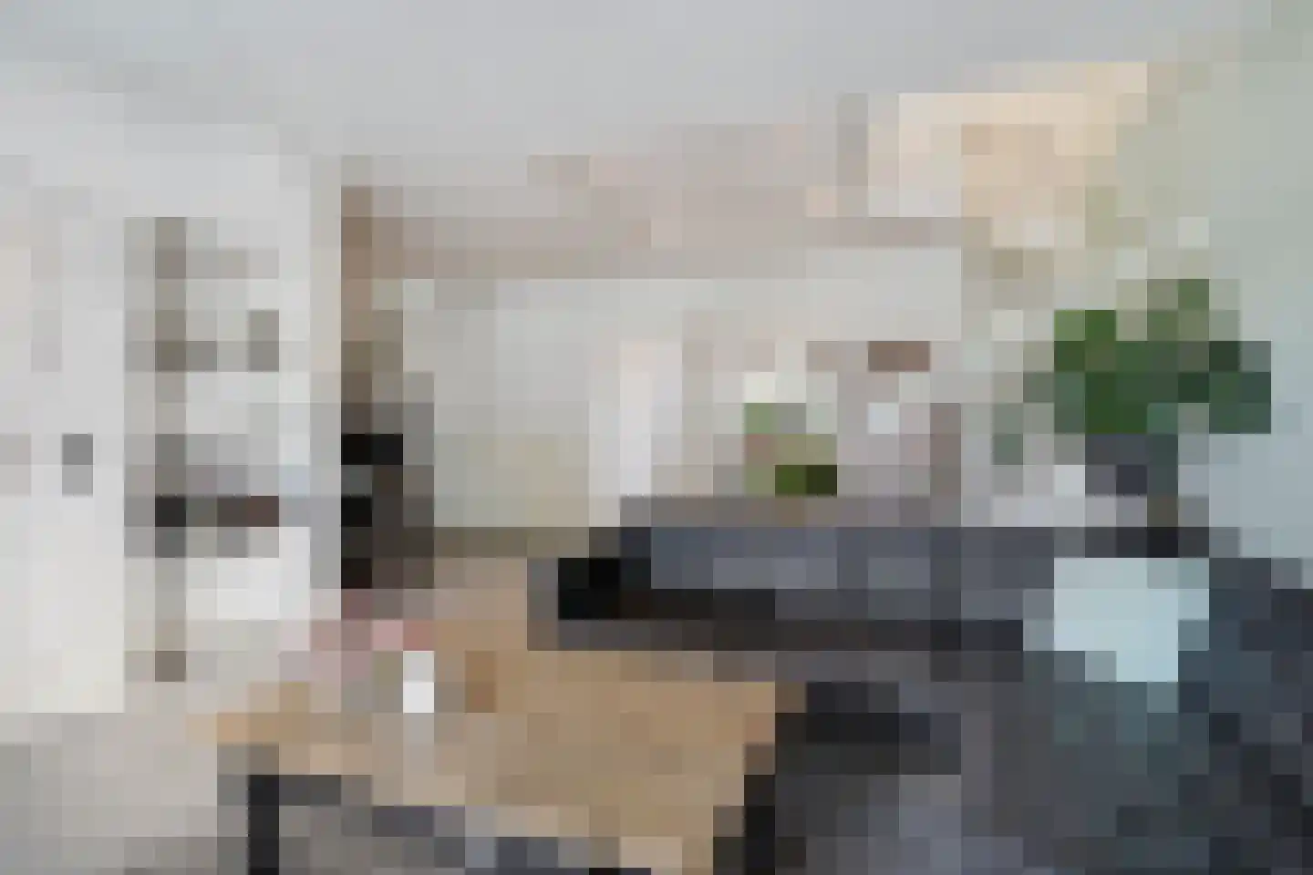 Begoniastraat 23 Doesburg thumbnail 17