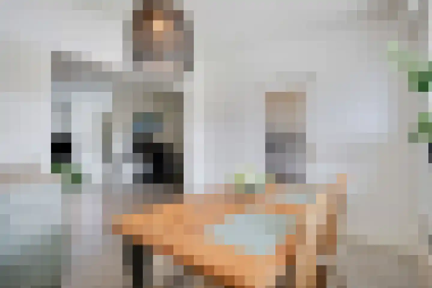 Begoniastraat 23 Doesburg thumbnail 23