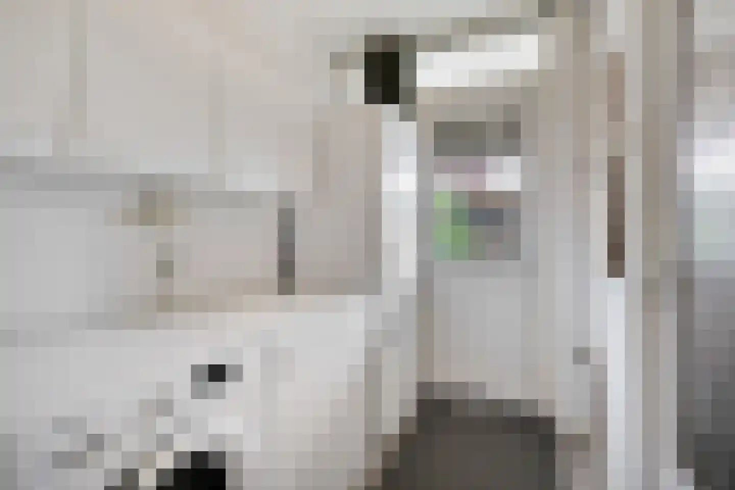 Begoniastraat 23 Doesburg thumbnail 27