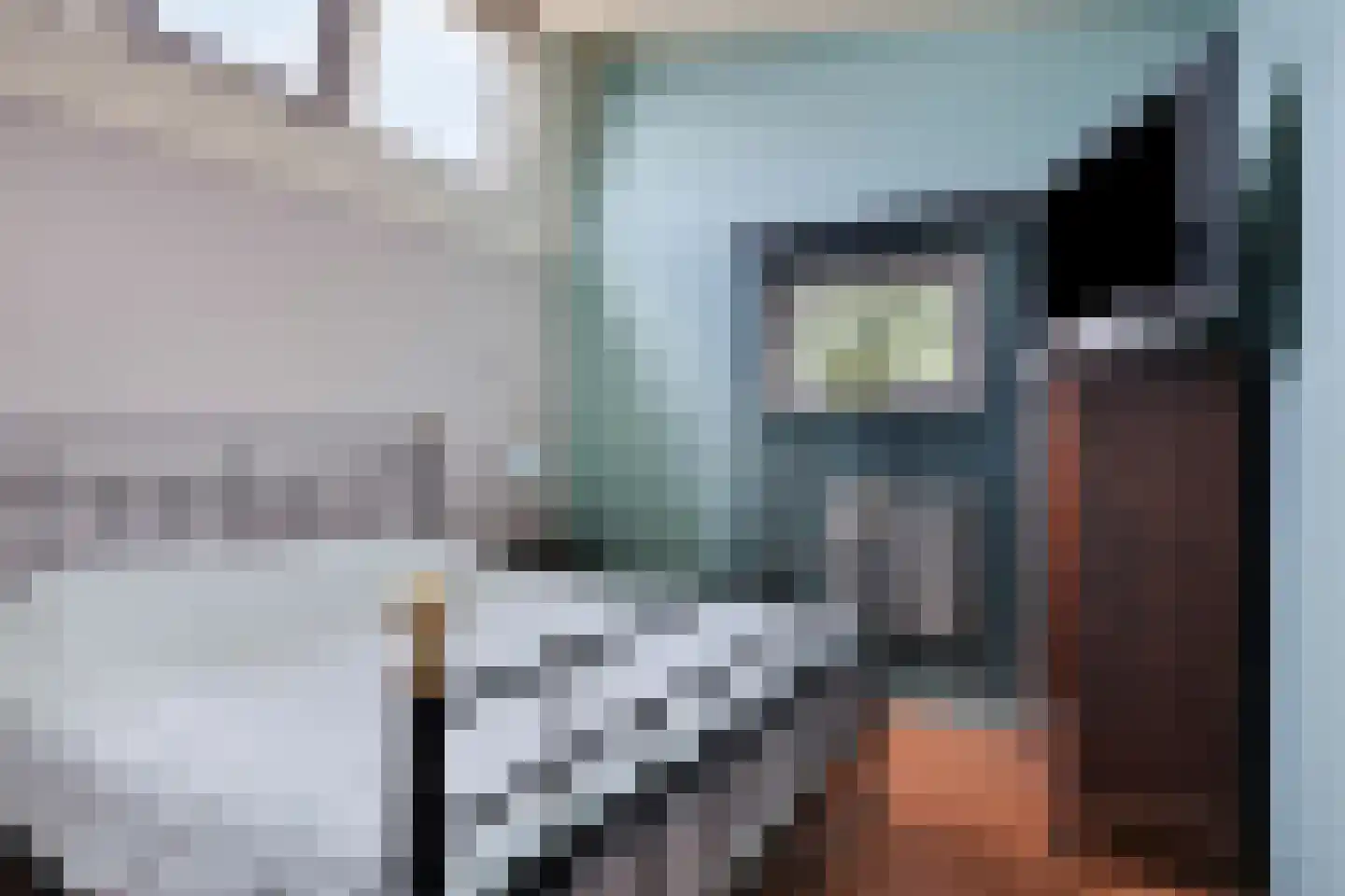 Begoniastraat 23 Doesburg thumbnail 34