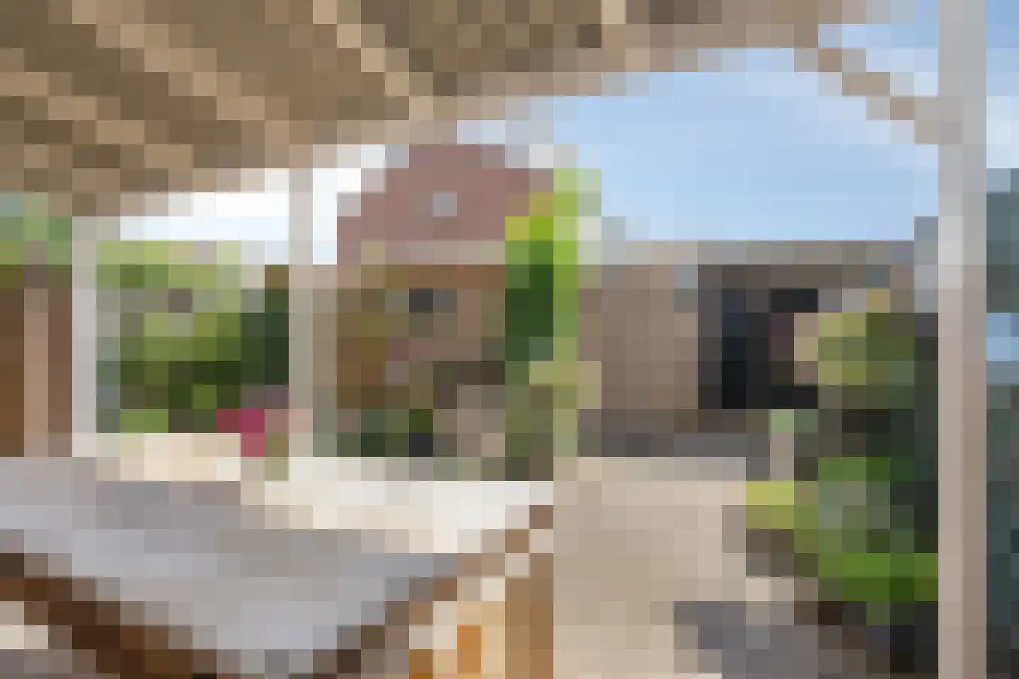 Begoniastraat 23 Doesburg thumbnail 49