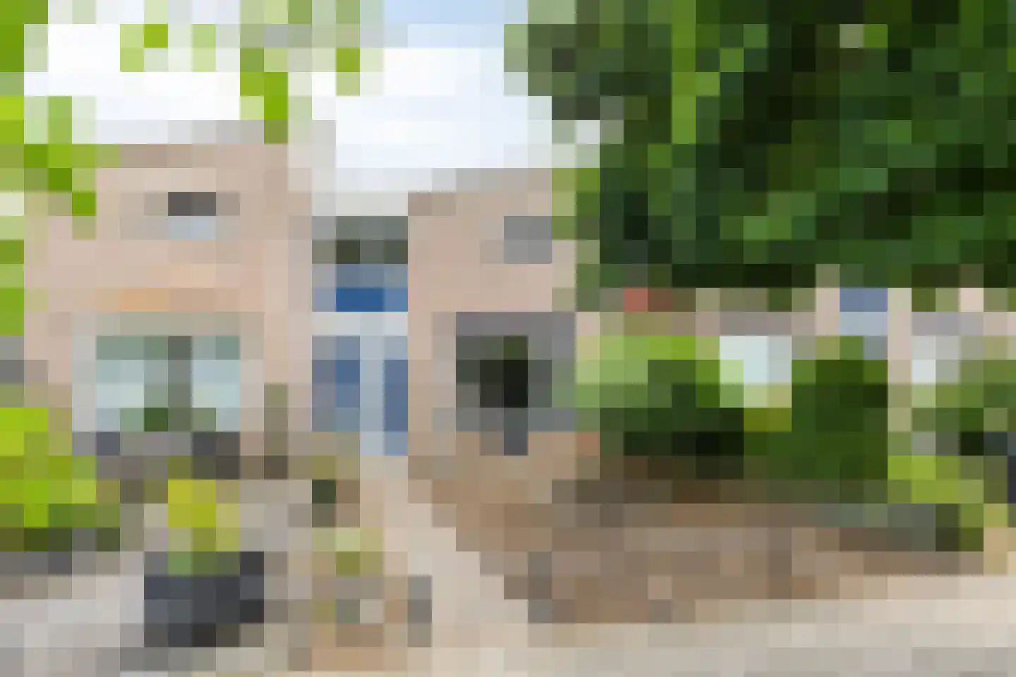 Begoniastraat 23 Doesburg thumbnail 5