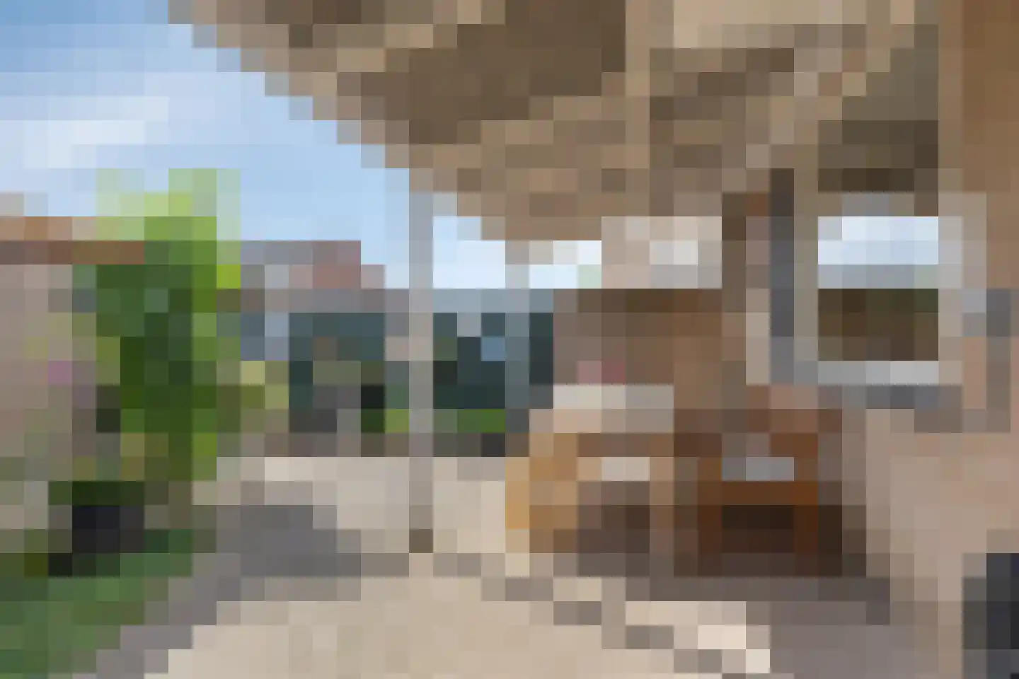 Begoniastraat 23 Doesburg thumbnail 50