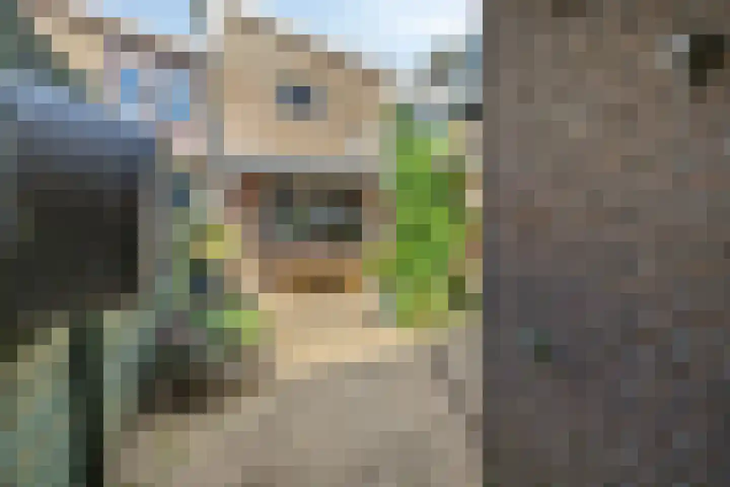 Begoniastraat 23 Doesburg thumbnail 53