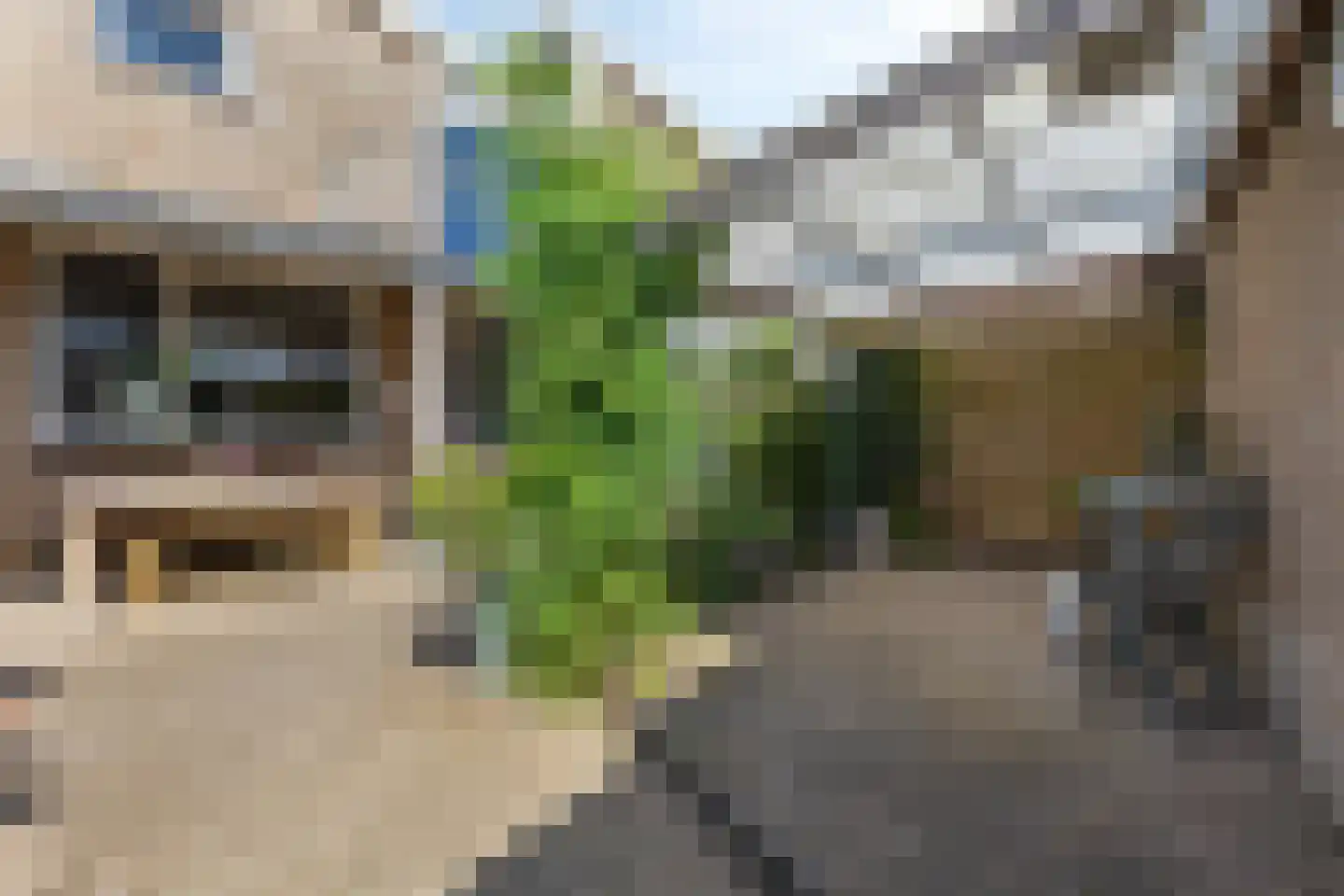 Begoniastraat 23 Doesburg thumbnail 54