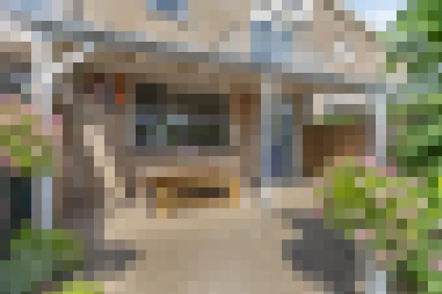 Begoniastraat 23 Doesburg thumbnail 57