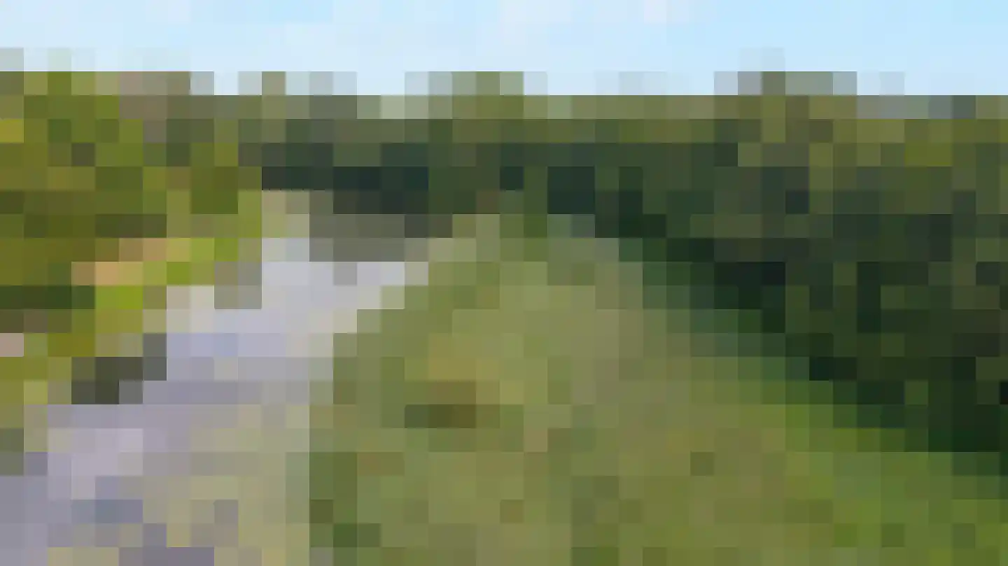 Begoniastraat 23 Doesburg thumbnail 58