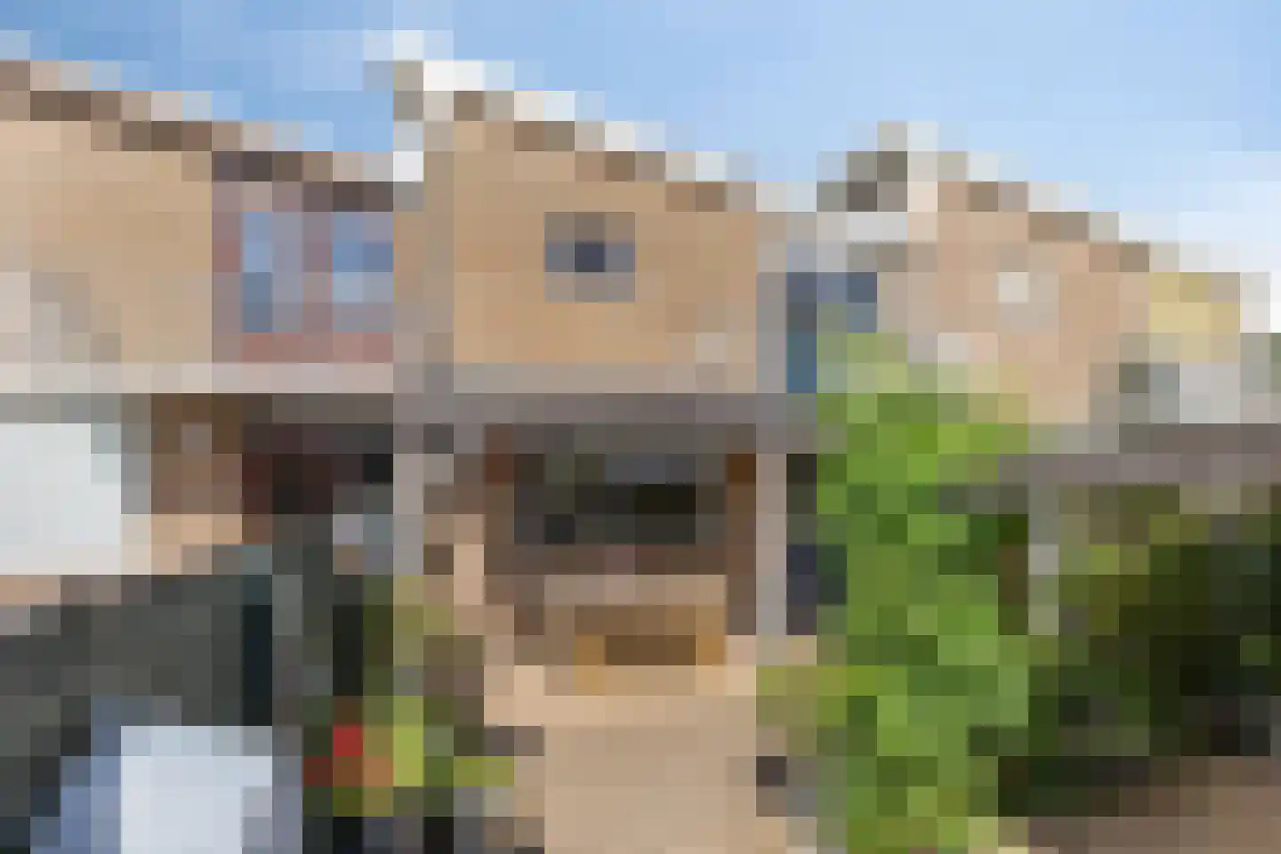 Begoniastraat 23 Doesburg thumbnail 7