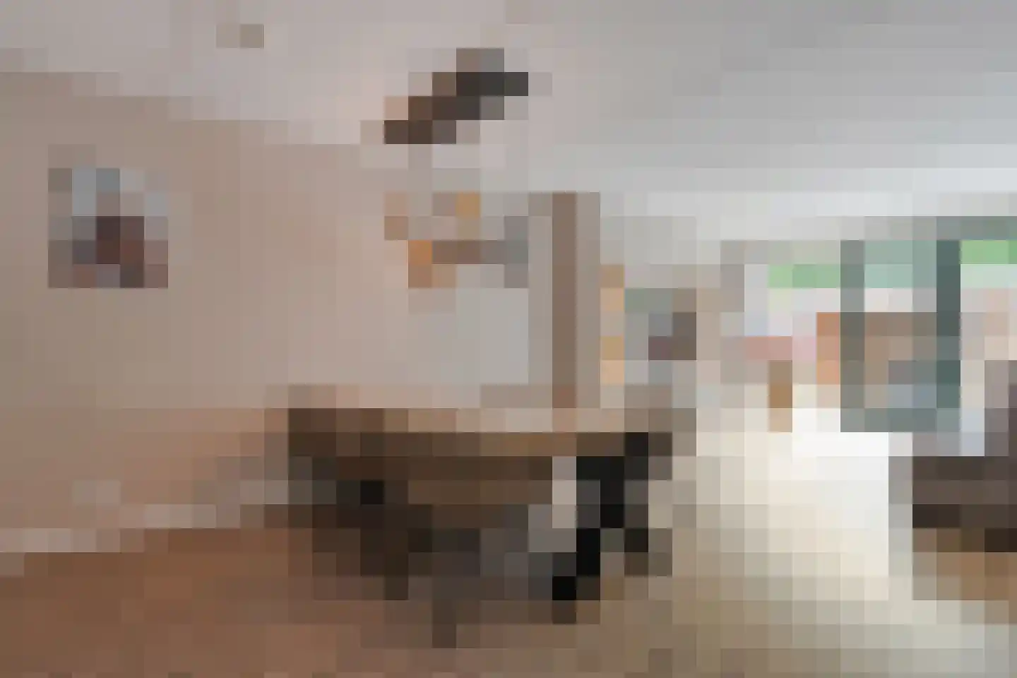 Begoniastraat 23 Enschede thumbnail 14