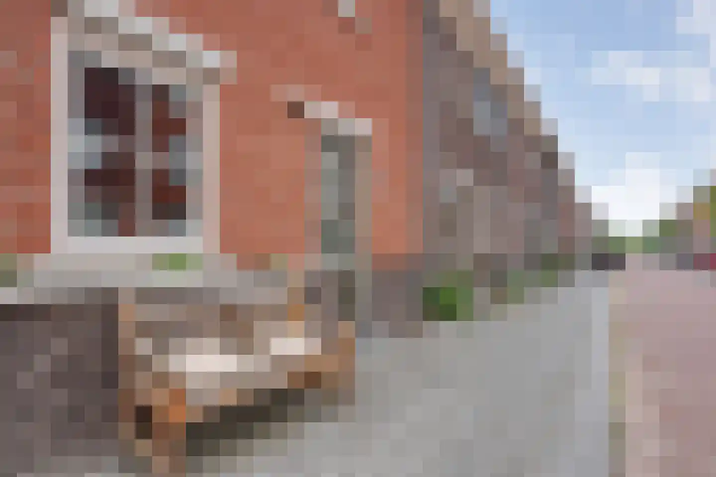 Begoniastraat 23 Enschede thumbnail 41