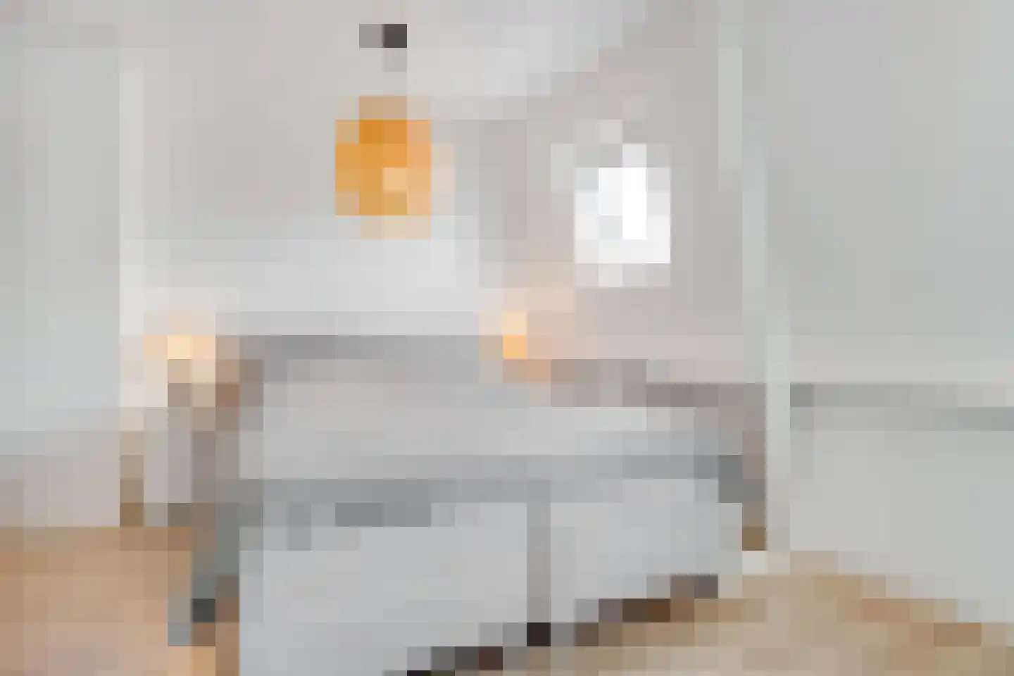 Begoniastraat 23 Hilversum thumbnail 17