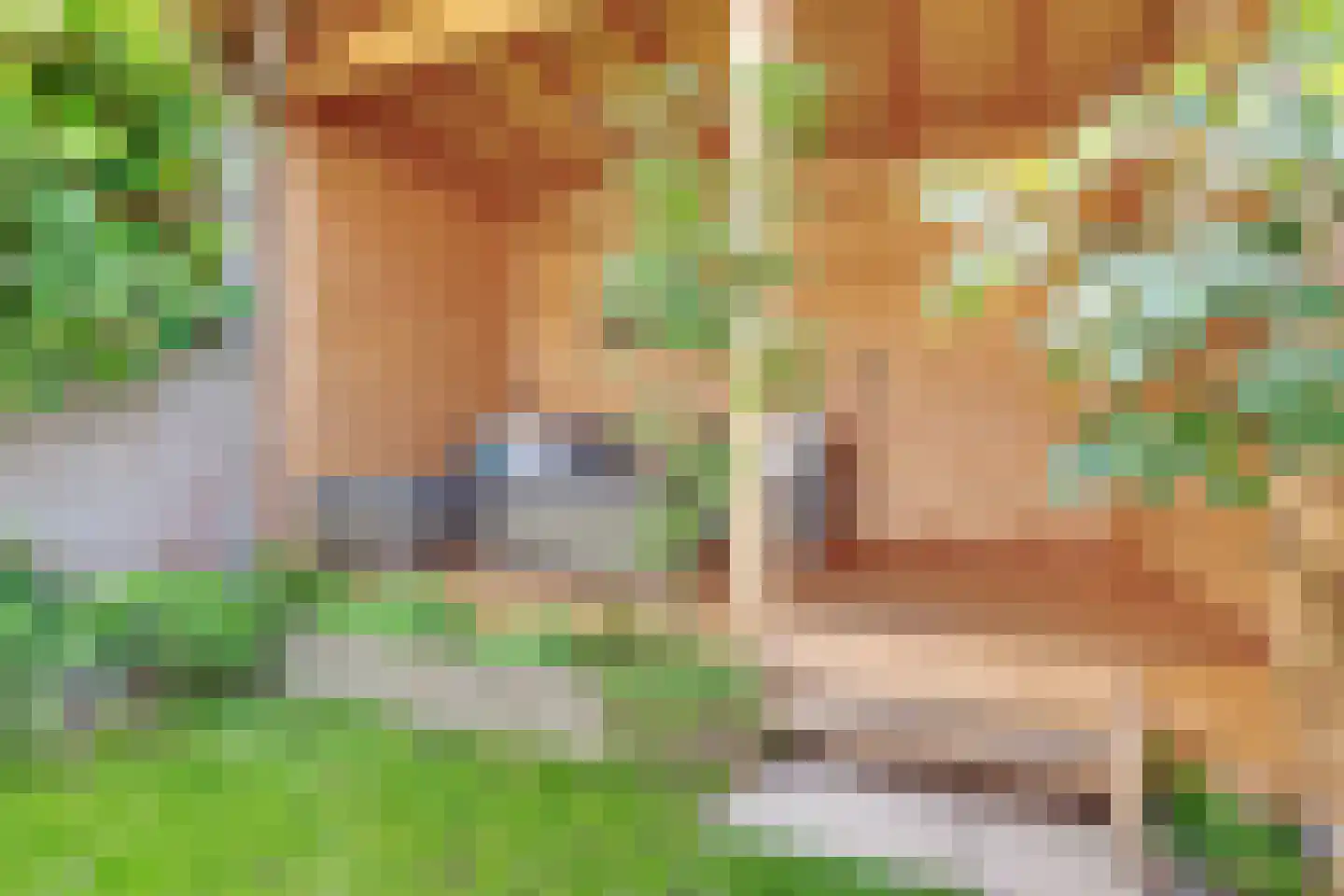 Begoniastraat 23 Hilversum thumbnail 33