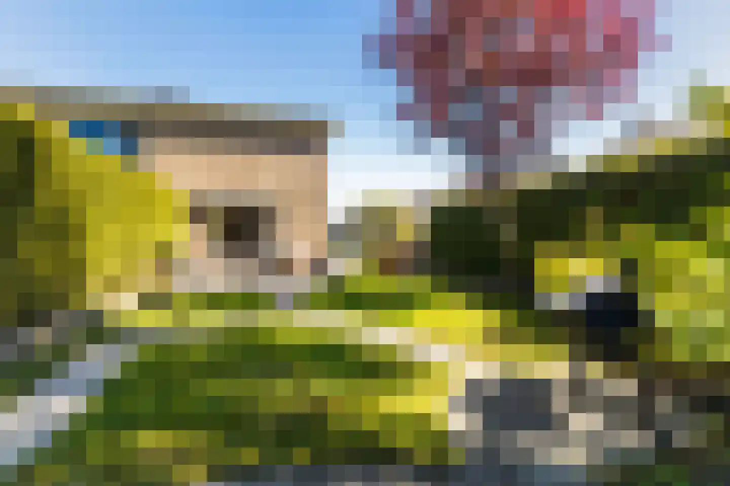 Begoniastraat 23 Leeuwarden thumbnail 16