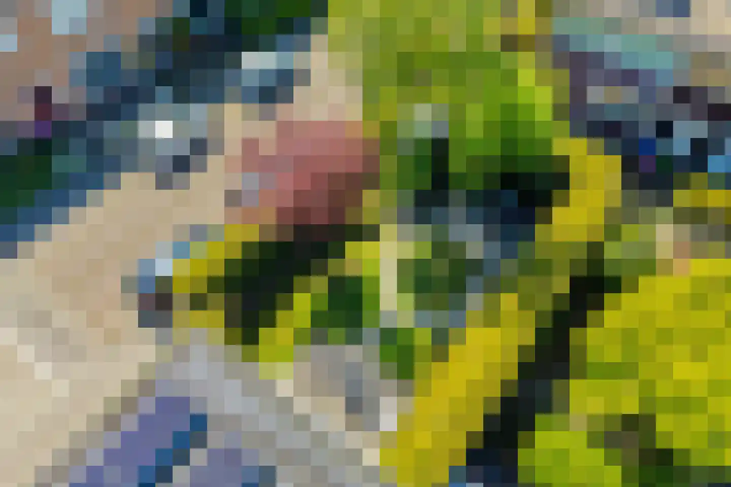 Begoniastraat 23 Leeuwarden thumbnail 33