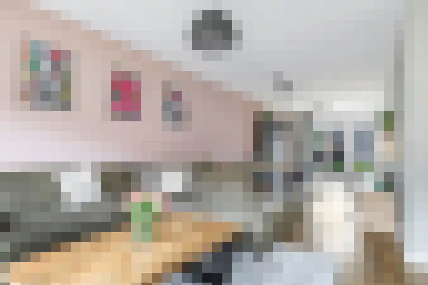 Begoniastraat 24 Tiel thumbnail 11