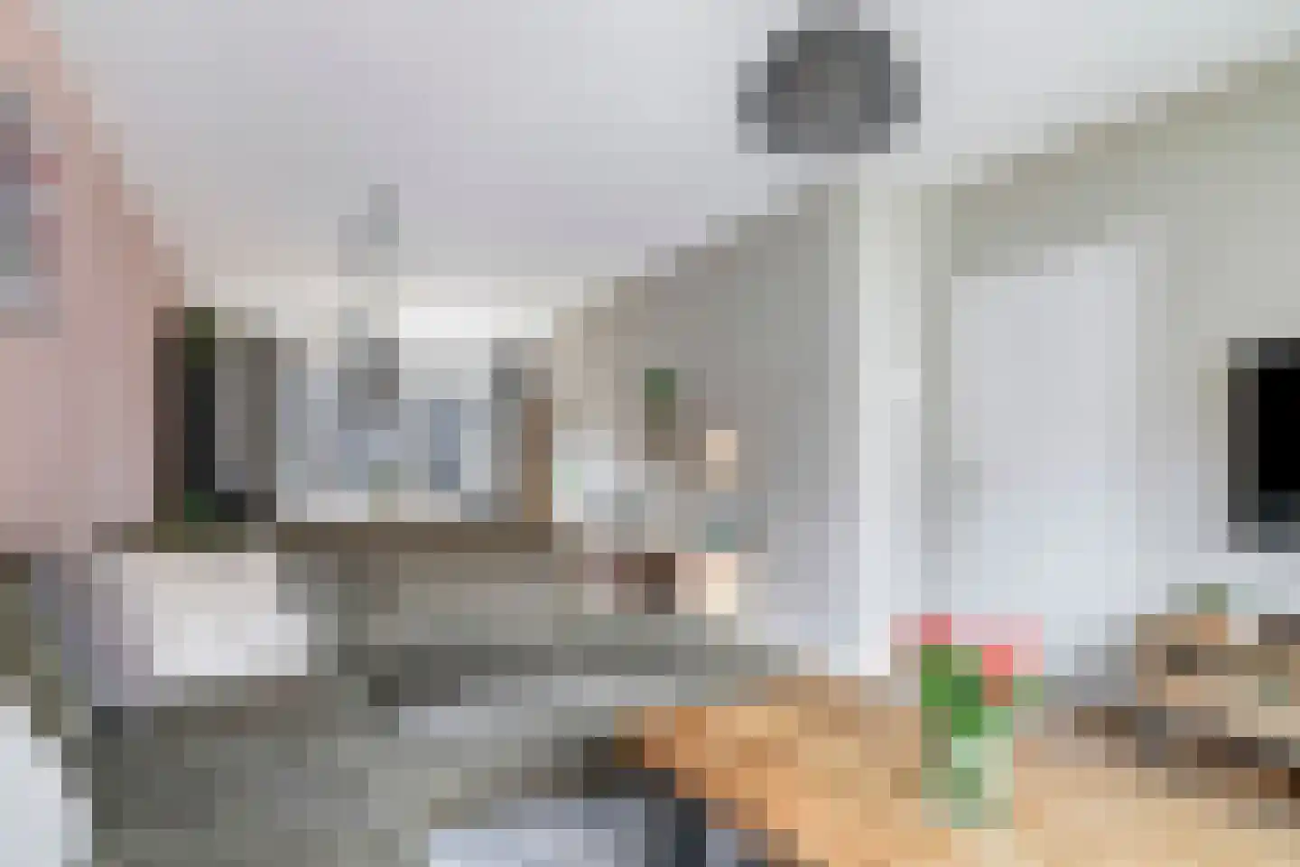 Begoniastraat 24 Tiel thumbnail 12