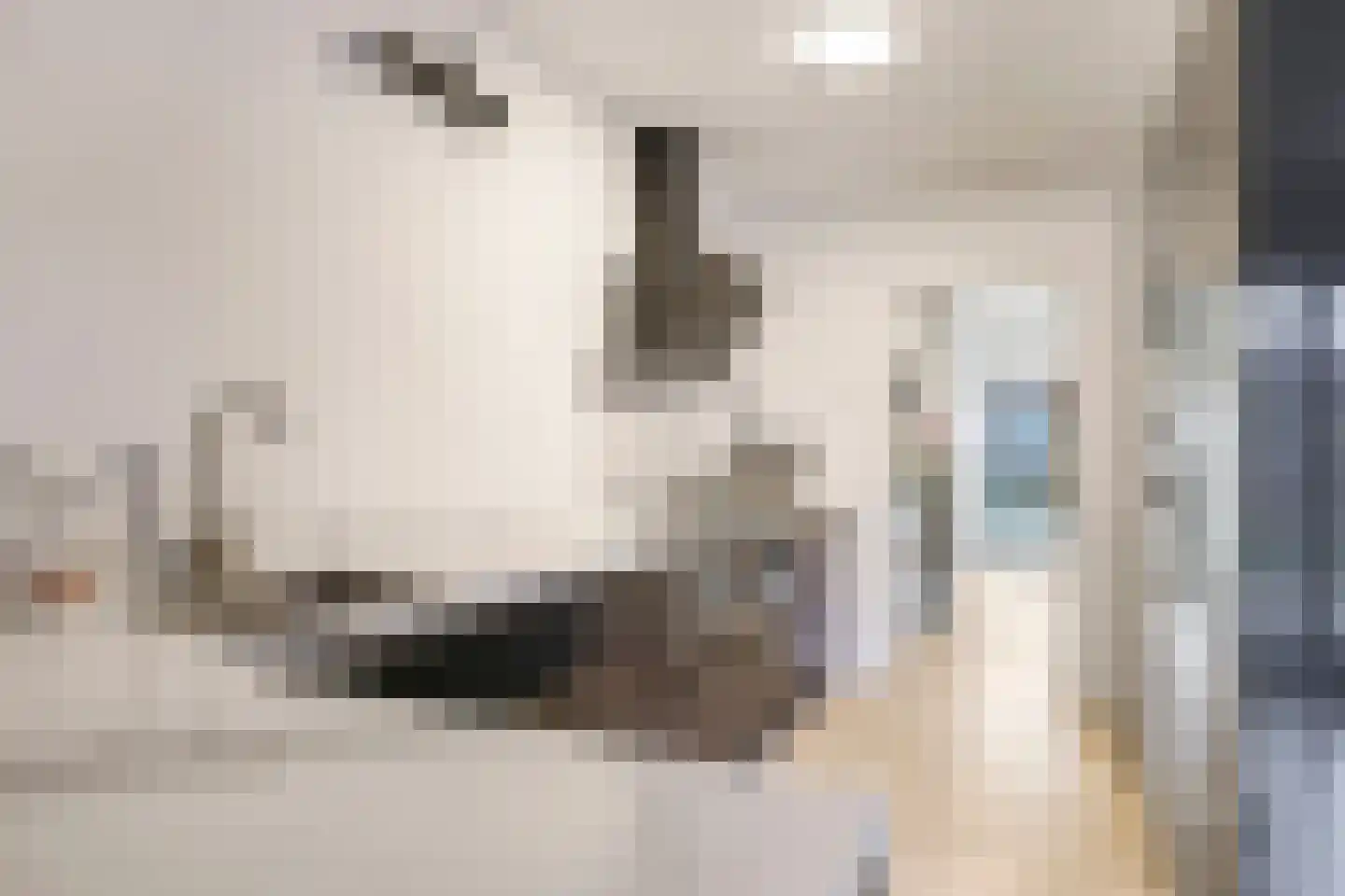 Begoniastraat 24 Tiel thumbnail 21