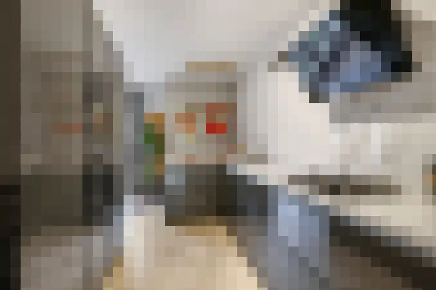 Begoniastraat 24 Tiel thumbnail 23