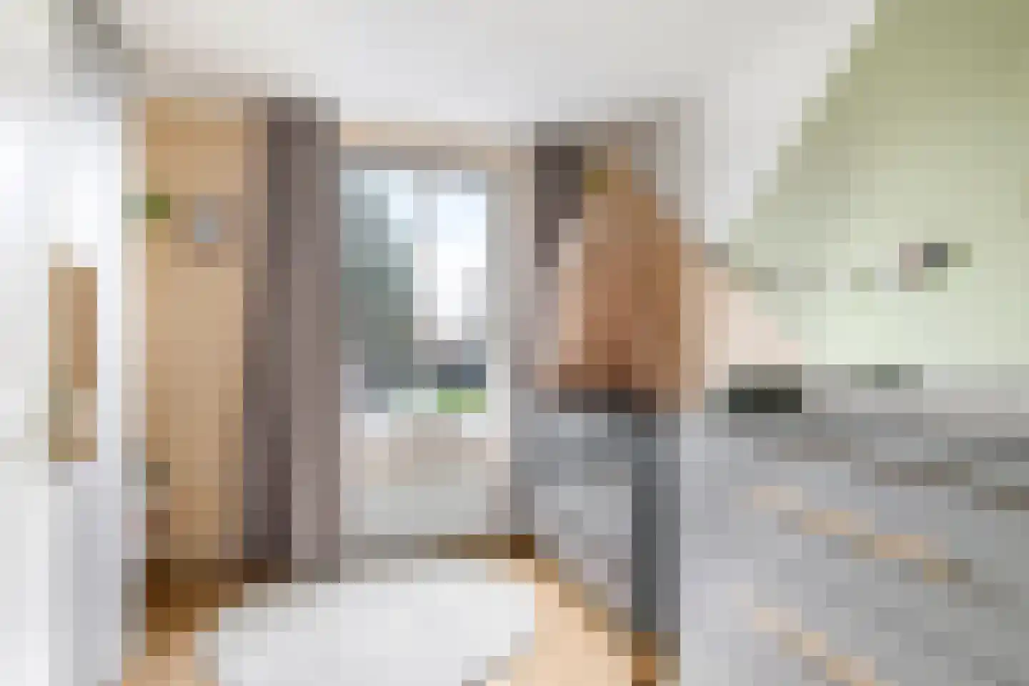 Begoniastraat 24 Tiel thumbnail 38