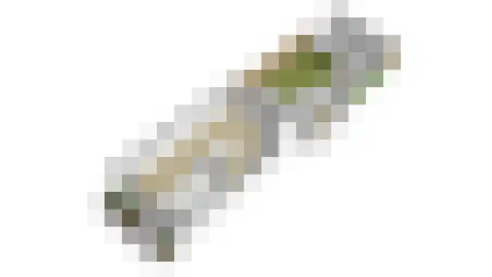 Begoniastraat 24 Tiel thumbnail 44