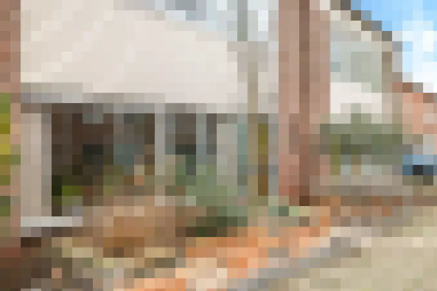 Begoniastraat 24 Tiel thumbnail 64