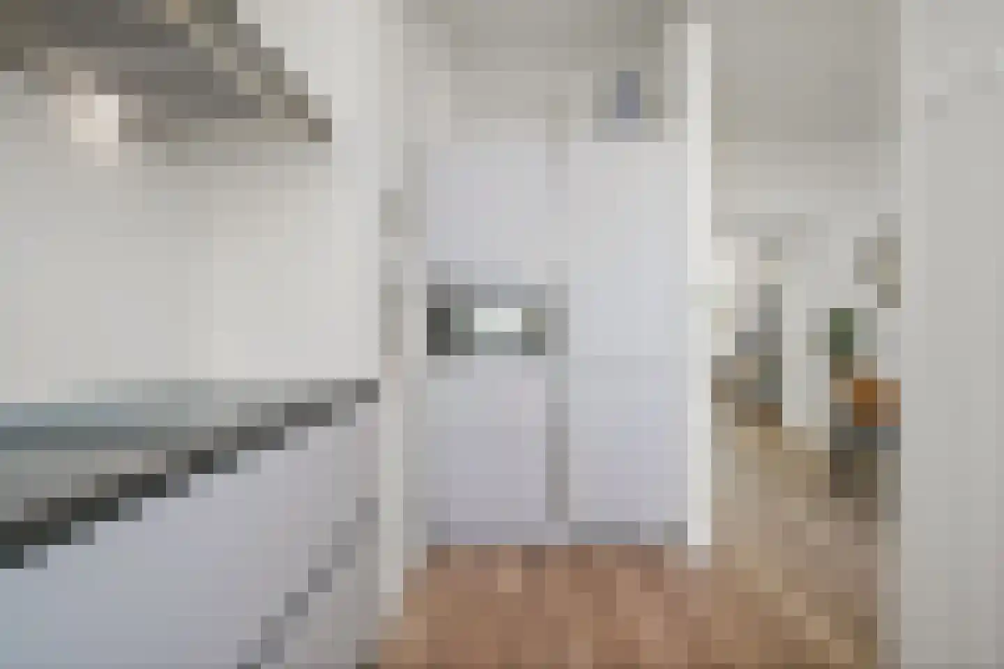 Begoniastraat 240 Den Haag thumbnail 23