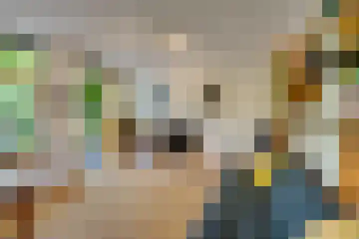 Begoniastraat 25 B Amsterdam thumbnail 14