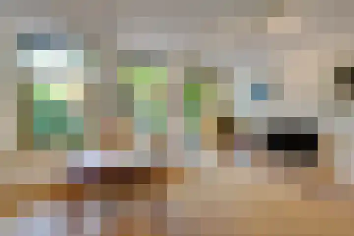 Begoniastraat 25 B Amsterdam thumbnail 15