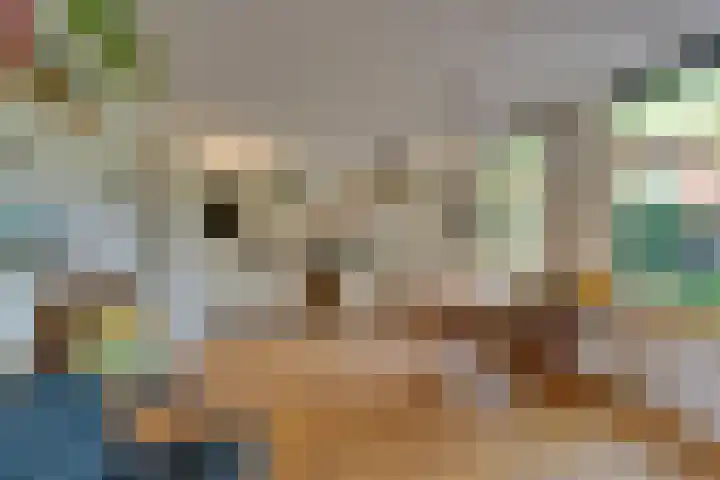 Begoniastraat 25 B Amsterdam thumbnail 21