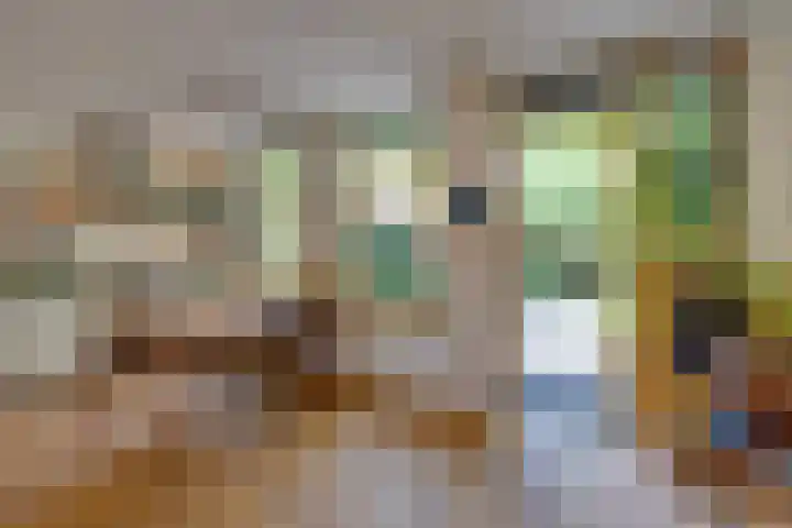 Begoniastraat 25 B Amsterdam thumbnail 22