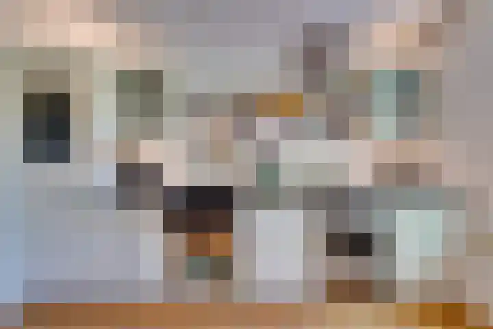 Begoniastraat 25 B Amsterdam thumbnail 25