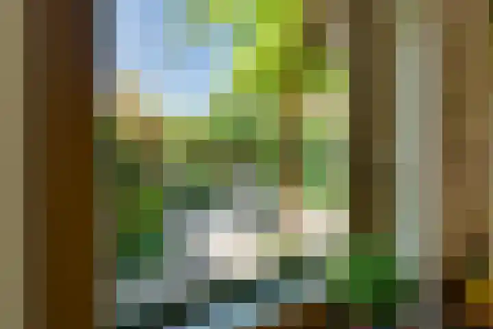 Begoniastraat 25 B Amsterdam thumbnail 26