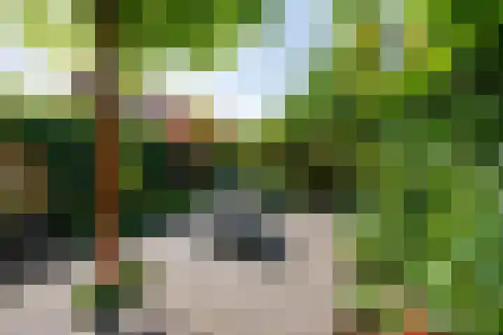 Begoniastraat 25 B Amsterdam thumbnail 27