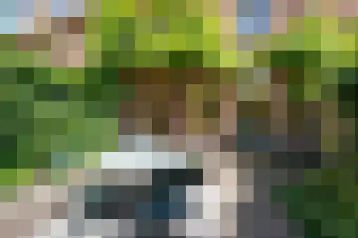 Begoniastraat 25 B Amsterdam thumbnail 29