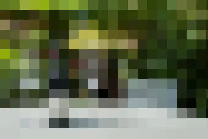 Begoniastraat 25 B Amsterdam thumbnail 30