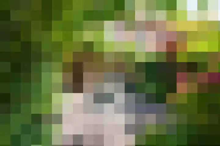 Begoniastraat 25 B Amsterdam thumbnail 31