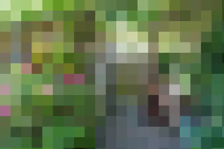 Begoniastraat 25 B Amsterdam thumbnail 32