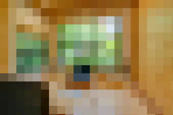 Begoniastraat 25 B Amsterdam thumbnail 34
