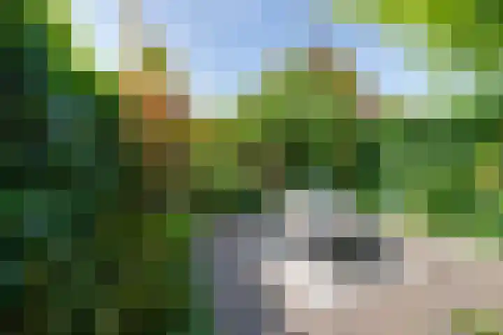 Begoniastraat 25 B Amsterdam thumbnail 4