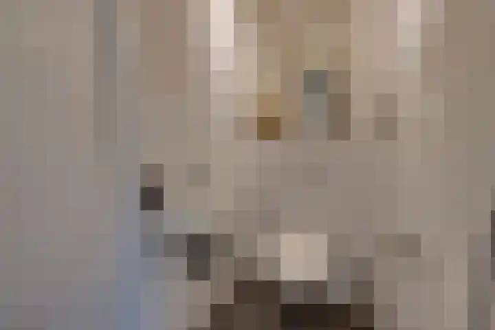 Begoniastraat 25 B Amsterdam thumbnail 41