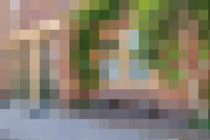 Begoniastraat 25 B Amsterdam thumbnail 7