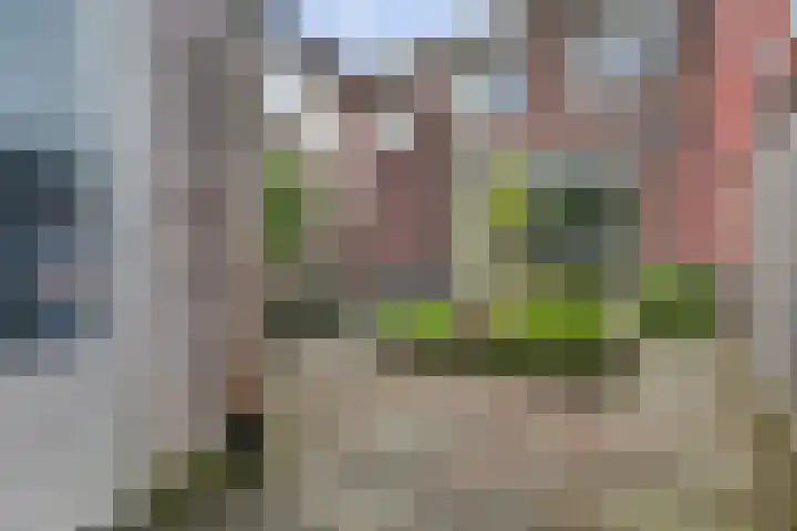 Begoniastraat 25 Enschede thumbnail 25