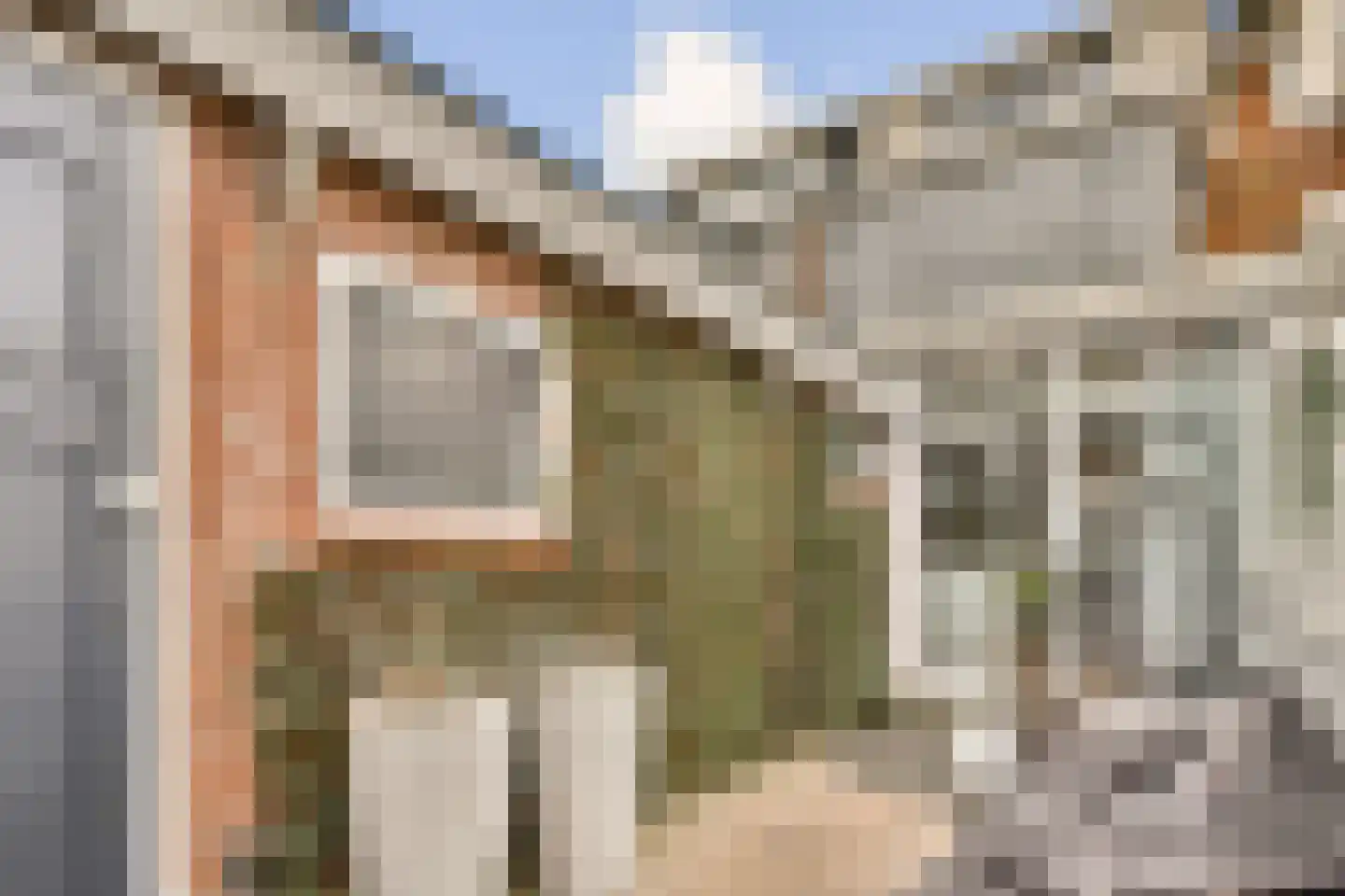Begoniastraat 25 Vlaardingen thumbnail 10