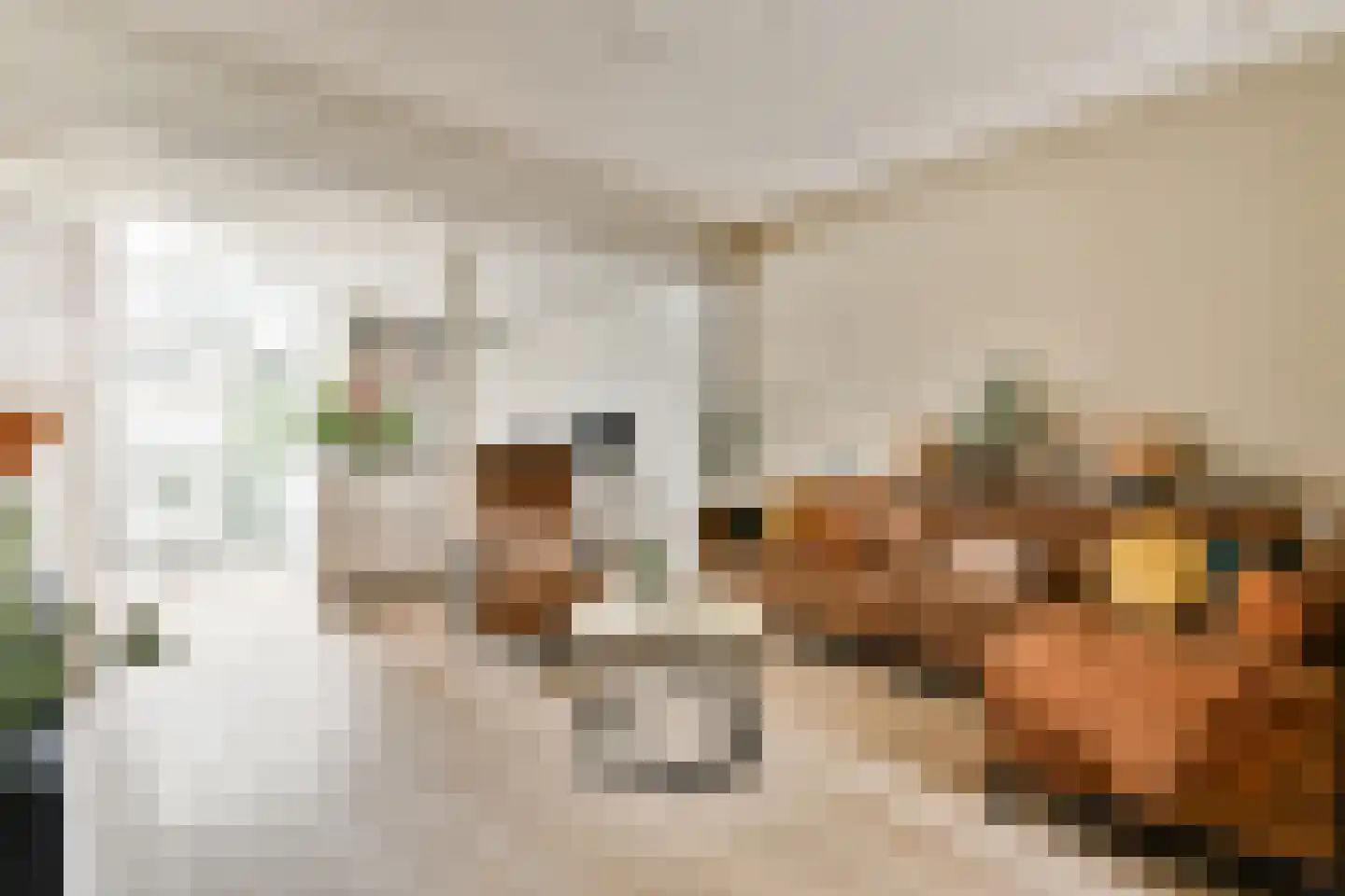 Begoniastraat 25 Vlaardingen thumbnail 4