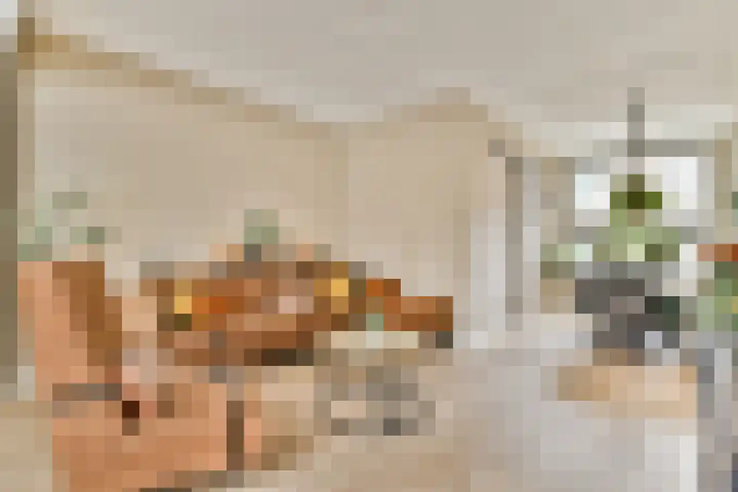 Begoniastraat 25 Vlaardingen thumbnail 5