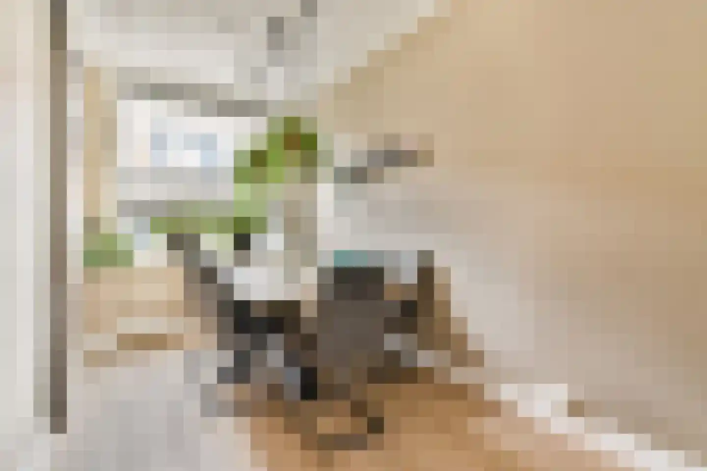 Begoniastraat 25 Vlaardingen thumbnail 6
