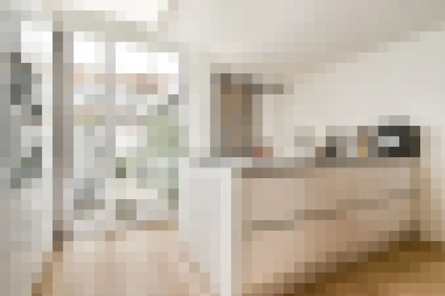 Begoniastraat 25 Vlaardingen thumbnail 8