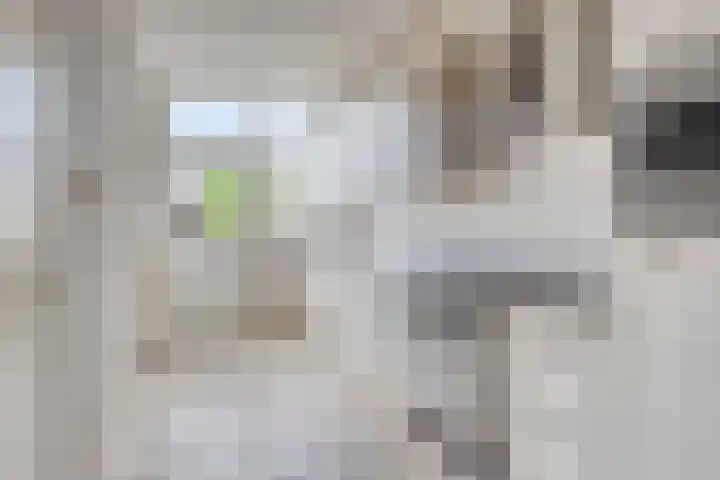 Begoniastraat 26 Doesburg thumbnail 12