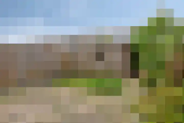 Begoniastraat 26 Doesburg thumbnail 27