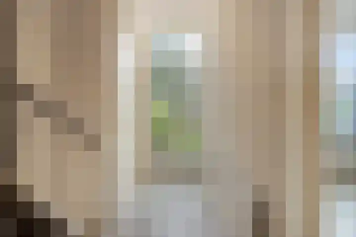Begoniastraat 26 Doesburg thumbnail 7